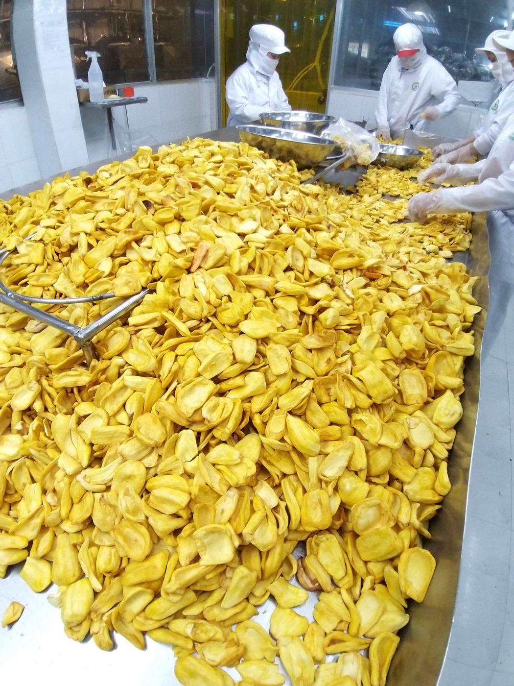 Workers processing jackfruit for chips in Bangladesh
